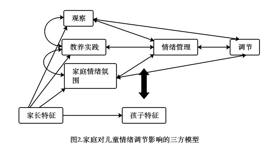 Morris家庭模型图