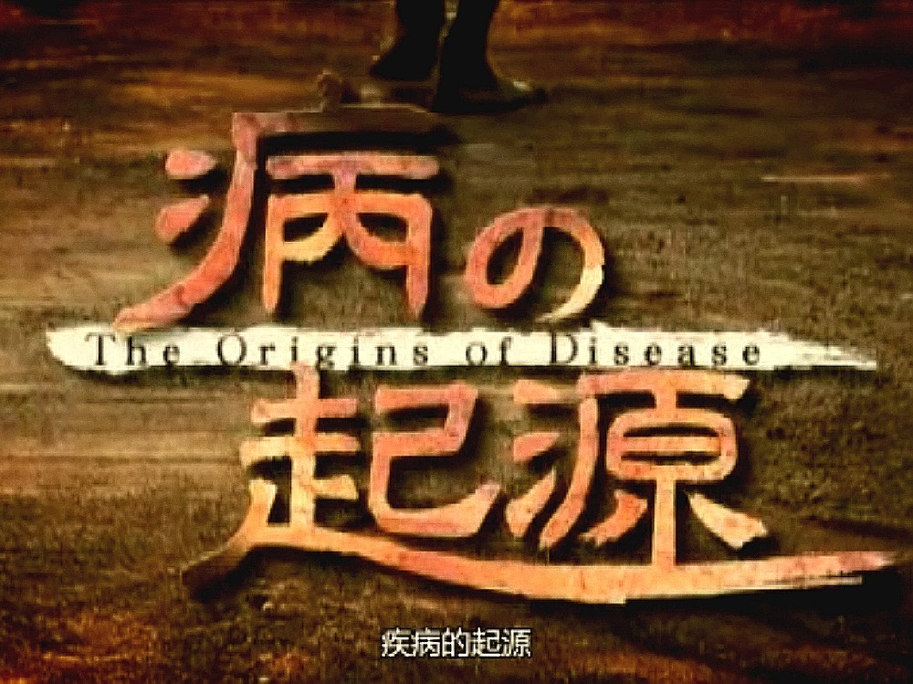 NHK纪录片 疾病的起源 ：阅读障碍症-文字所产生的疾病